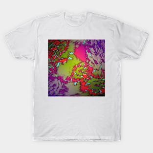 Evening gardens T-Shirt